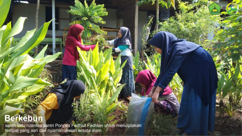 Berkebun Ala Santri Putri Pesantren Fadhlul Fadhlan Berkebun Ala Santri Putri Pesantren Fadhlul Fadhlan