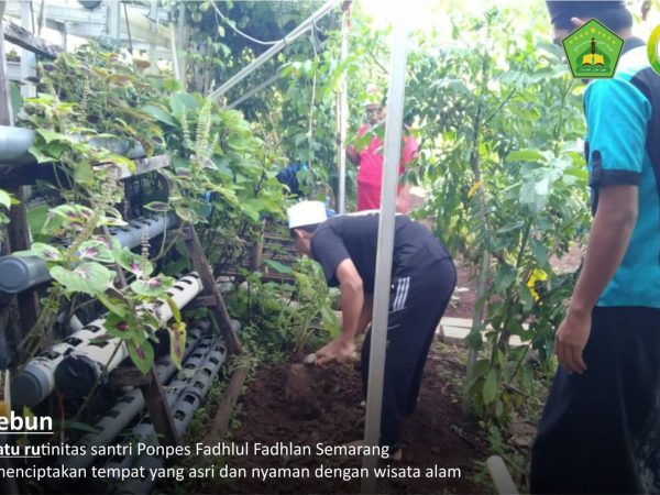 Berkebun ala Santri Putra Pesantren Fadhlul Fadhlan