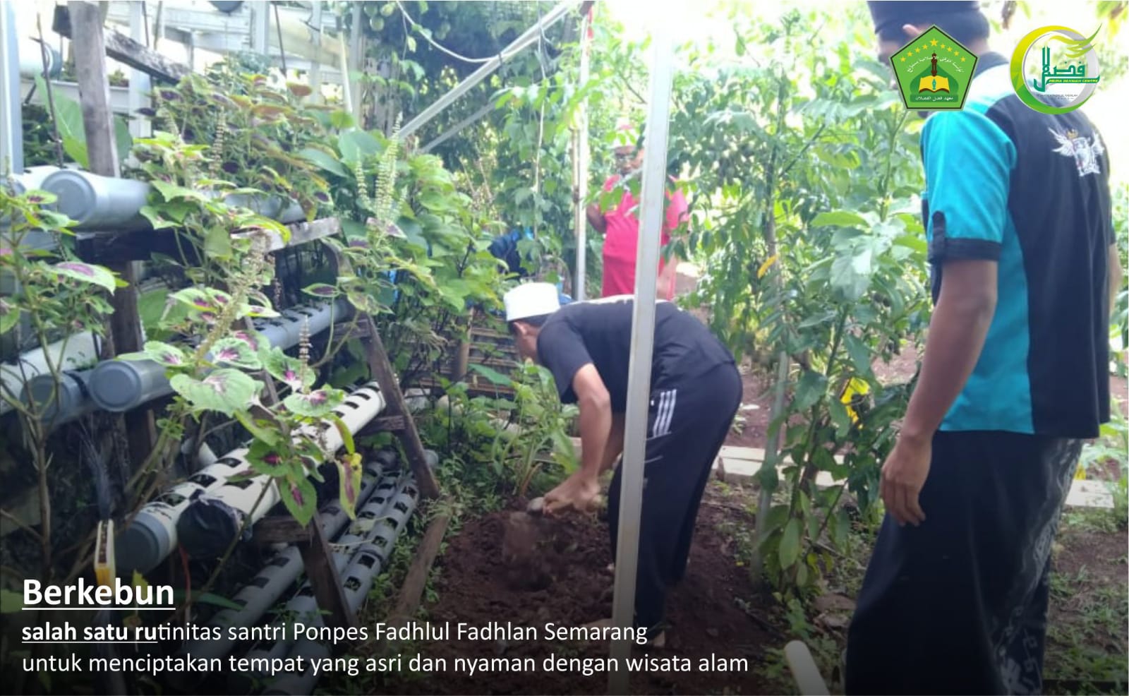Berkebun ala Santri Putra Pesantren Fadhlul Fadhlan