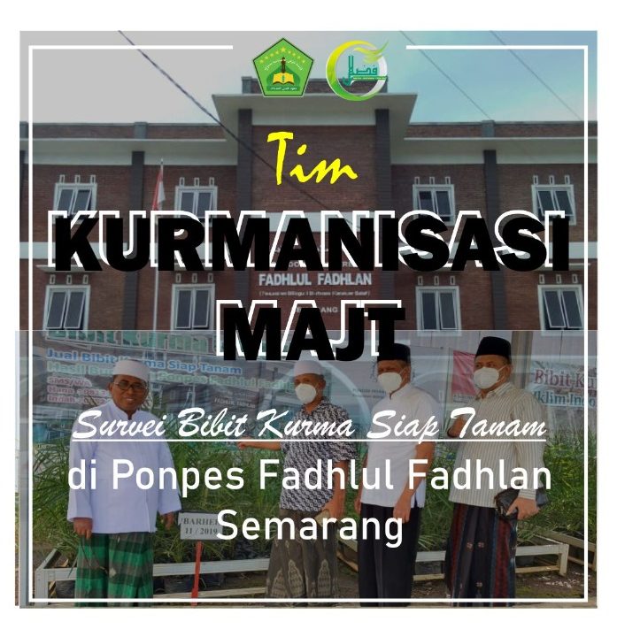 Tim Kurmanisasi MAJT Survei Bibit Kurma Siap Tanam di PPFF