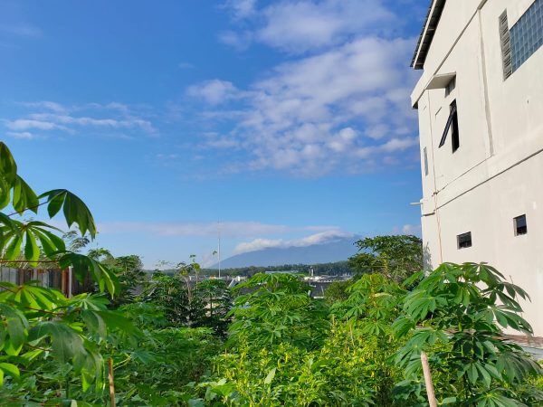 INDAHNYA PEMANDANGAN TAMAN DI BELAKANG NDALEM PENGASUH PONDOK PESANTREN FADHLUL FADHLAN