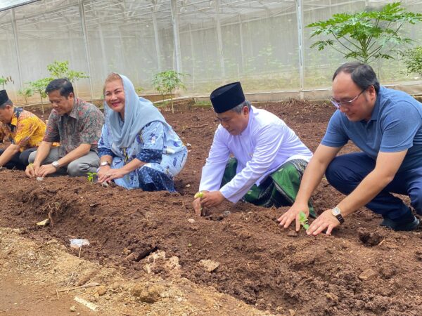 Walikota Semarang Tanam Cabe Di PPFF, Dukung Menjadi Role Model Pesantren Jawa Tengah