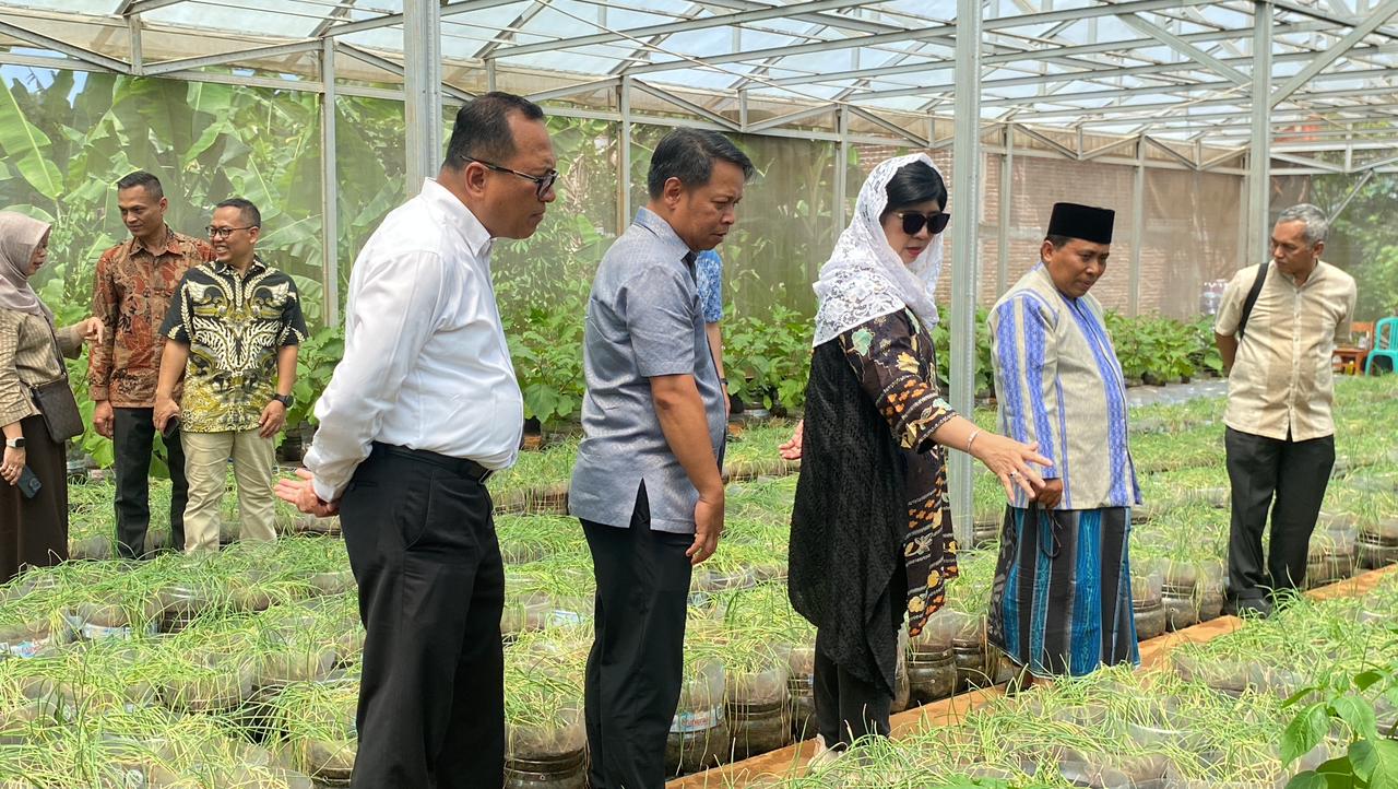 Kolaborasi Strategis PPFF–BI Kian Kuat, Deputi BI Tinjau Kemandirian Ekonomi Pesantren Kolaborasi Strategis PPFF–BI Kian Kuat, Deputi BI Tinjau Kemandirian Ekonomi Pesantren